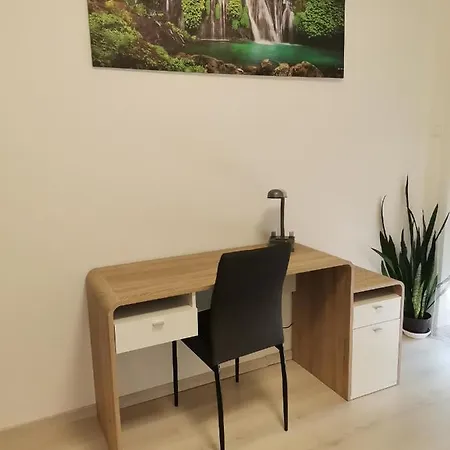 Oasis * Szeged