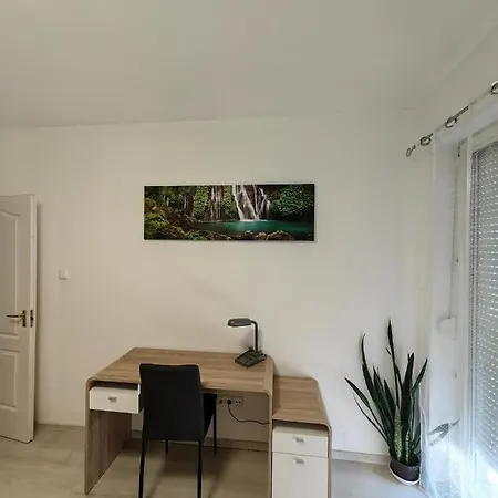 Oasis * Szeged